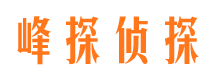 宁远市调查公司